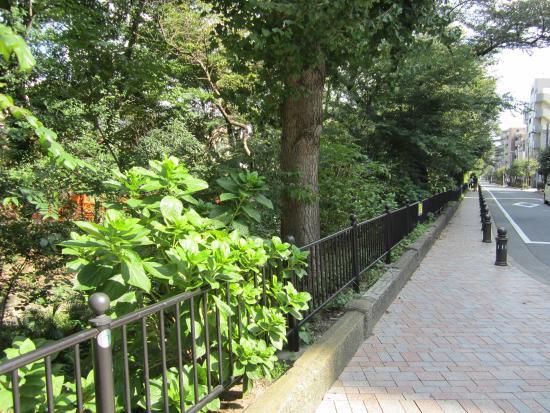 Tamagawa Aqueduct Greenway