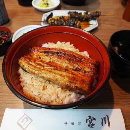 Setagaya Miyagawa Yoda