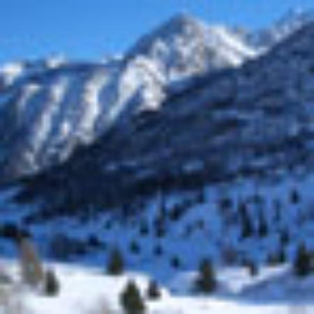 Italian Restaurant Leprotto