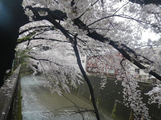 Nakasendo Itabashi Bridge