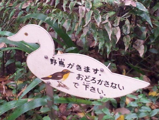 Shimoochiai Yachono Mori Park