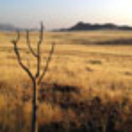 Taiwan Cuisine Arisan