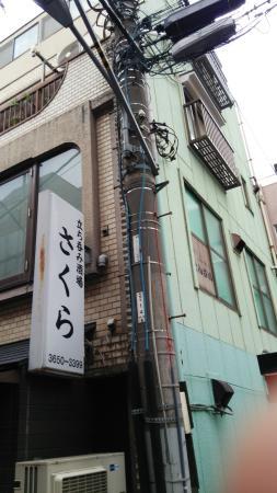 Tachinomi Sakaba Sakura