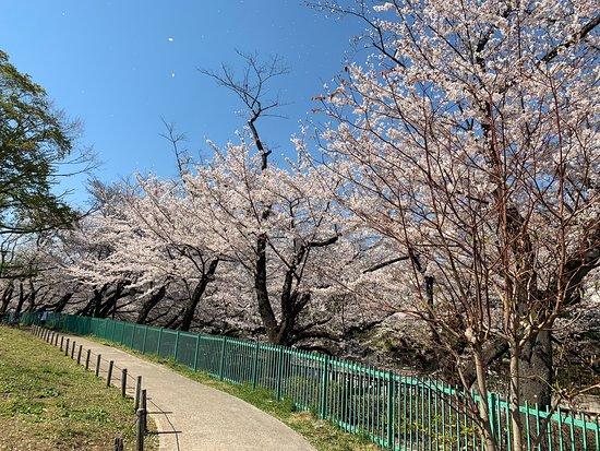 Kaga Maeda House Shimoyashiki Site