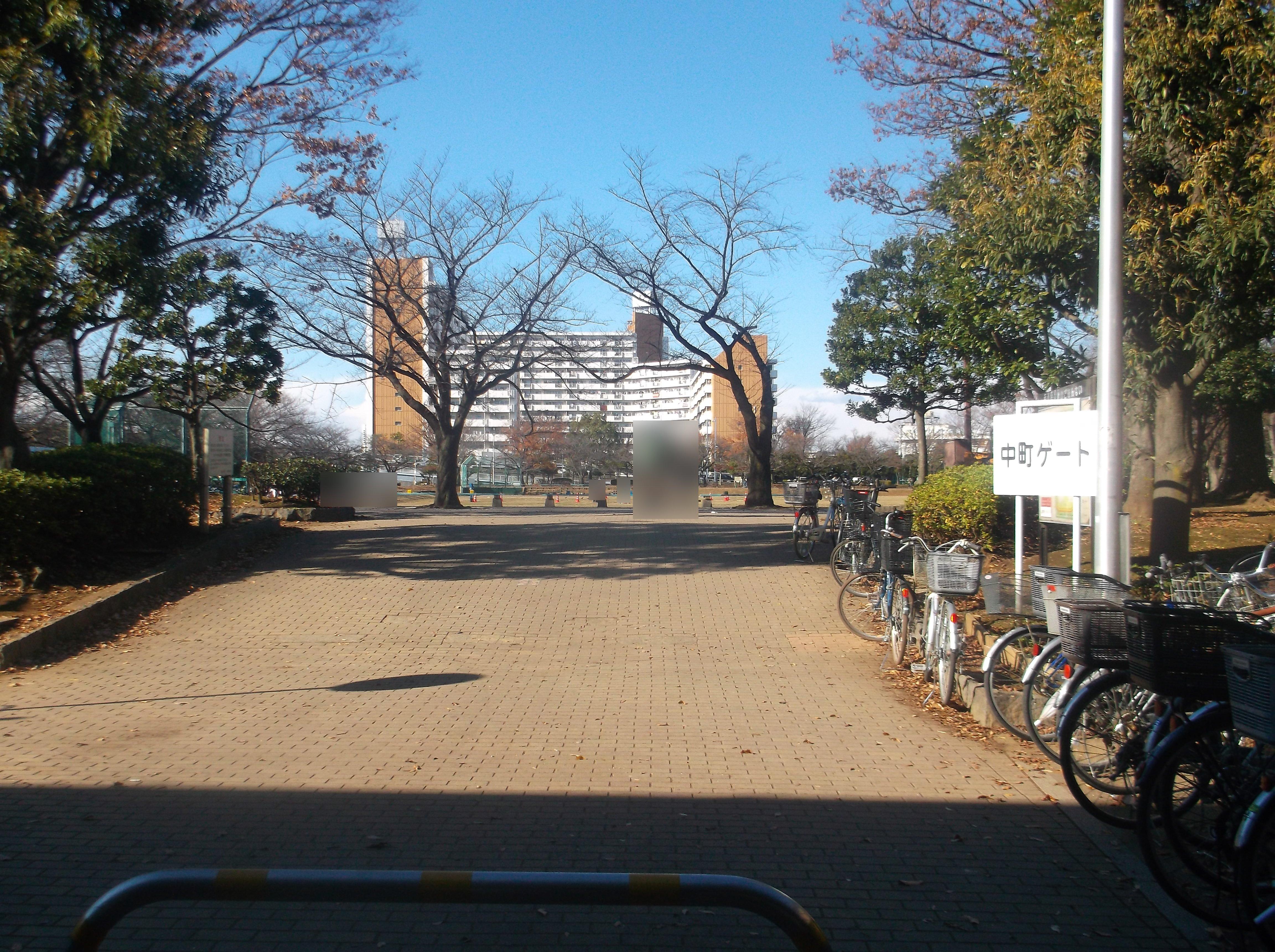 Shinkoiwa Park