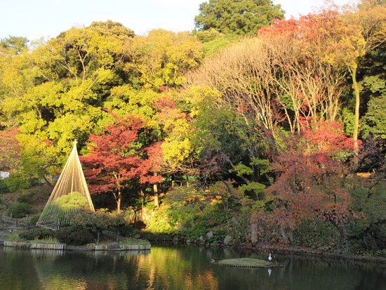 Higo Hosokawa Garden