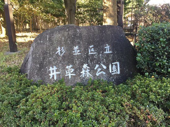 Suginami Kuritsu Igusamori Park