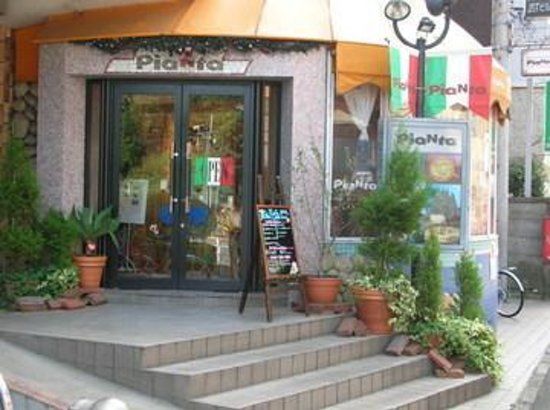 Catual Itarian Pianta