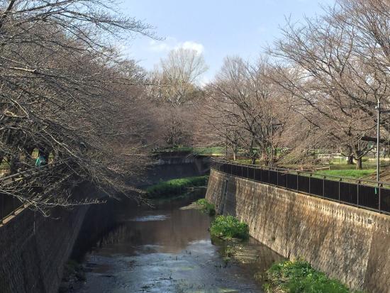 Soshigaya Park