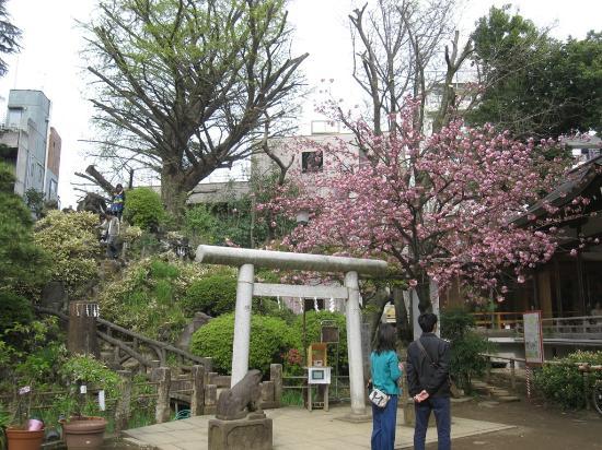 Hatonomori Hachiman Shrine
