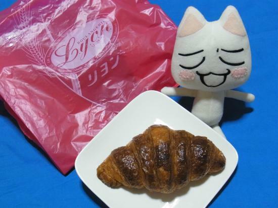 Lyon Celebrityohanajaya